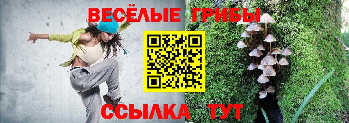 Галлюциногенные грибы Psilocybine cubensis Отрадный
