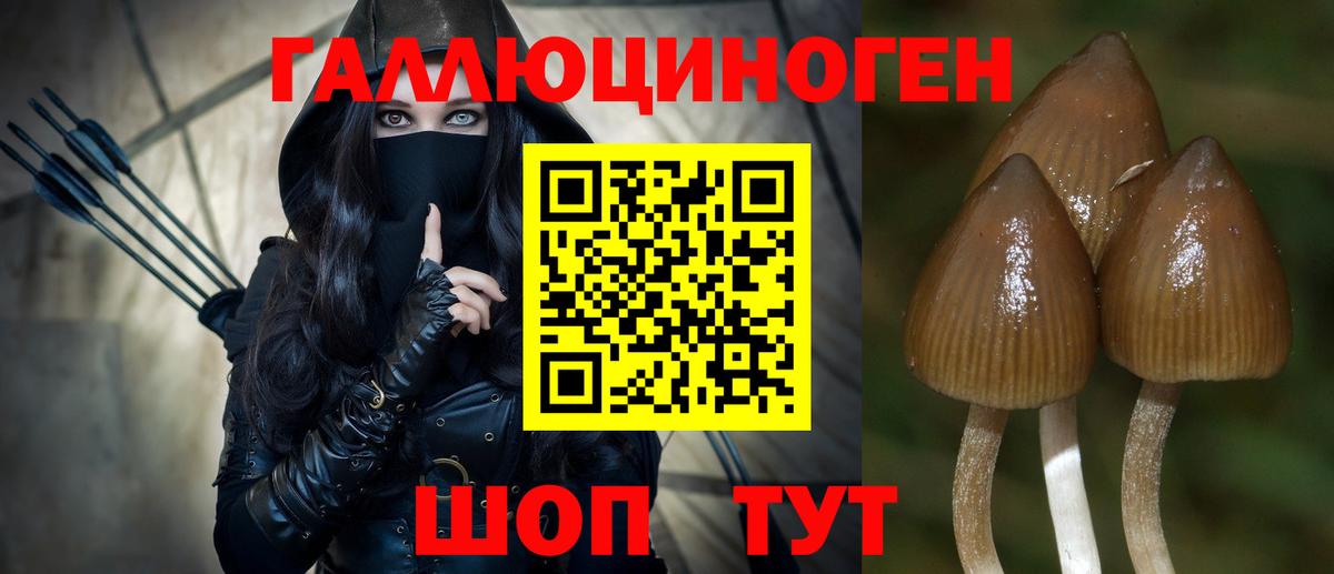 Галлюциногенные грибы Psilocybe  Псилоцибиновые грибы Psilocybe  Вход с VPN  Отрадный 